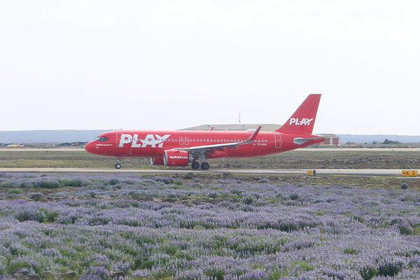 Reportage PLAY Airlines